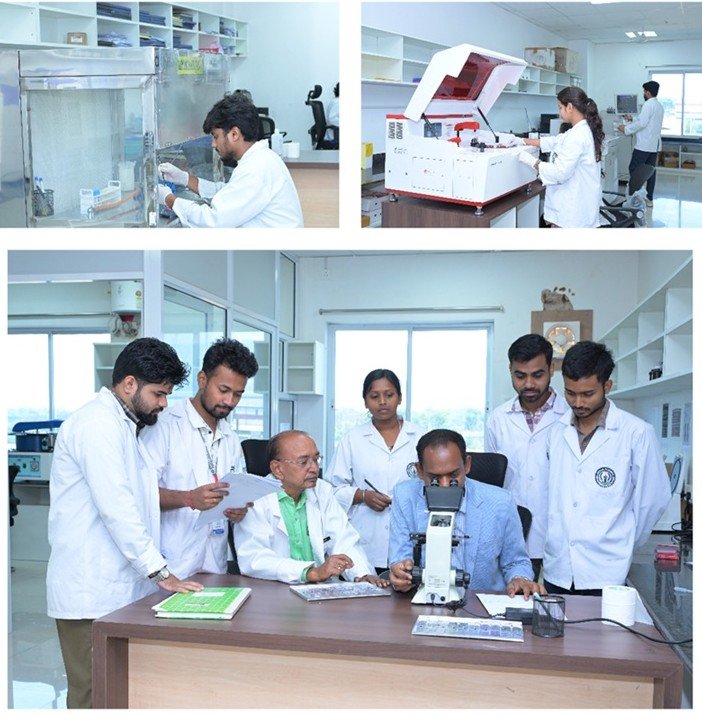 Central Clinical Laboratory
